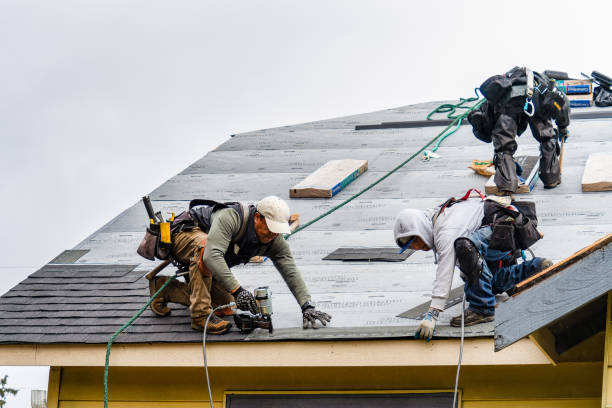 Professional Gutter Installation technician working in Lowry, MN